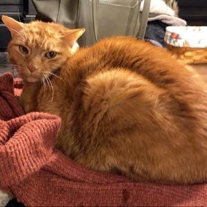 Meet your Posher, Emma